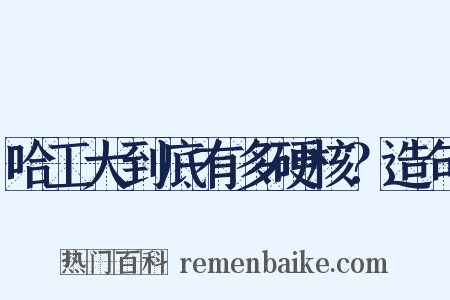 哈工大到底有多硬核？造句是什么意思的图片